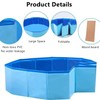 Bearded Dragon Swimming Pool with Inflatable Float Set - Foldable