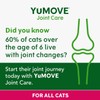 YuMOVE Cat | Joint Supplement for Cats, with Glucosamine, Chondroitin,