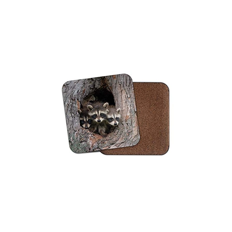 1 x Raccoon Family Coaster - Den Wildlife Wild Animal