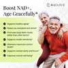 BALVIVE NAD+ Longevity Booster Supplement - Bioenergy Ribose & Nicotinamide