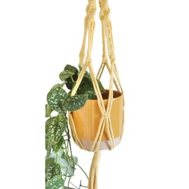 Piglet&Chestnut DIY Plant Hanger Kit, Macrame Beginner Kit, DIY Craft Kit Learn to Macrame UK Made, Buttermilk