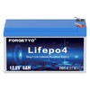 Forgetyo 12V 6Ah LiFePO4 Lithium Battery, 3000+ Cycles Lithium Battery,Safe