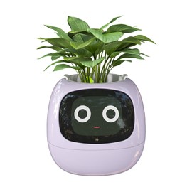 Masdio Smart Flowerpots, with Artificial Intelligence, Time Temperature Display, and Numerous Expressive Animations Based On The Environment, for Indoor Decoration, Gifts(Purple)