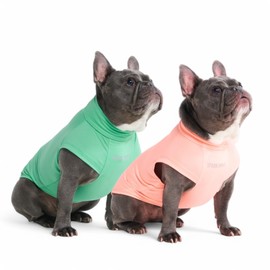 Spark Paws Sunblock Dog T-Shirt, SPF30 Protection, Lightweight Breathable Quick Dry for Dogs with Sensitive Skin - Peach & Mint (Set of 2) - XL