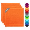 Lashuma Linz Terry Towels, Kitchen Towel Set of 4, Colour: