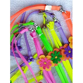 Hypeety Beauty Parrot Adjustable Bird Harness and Leash Anti-bite for Bird Parrot African Grey Cockatoo Macaw Ringneck Parakeet Cockatiel(1Pcs Random Color)