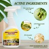 2 Pack Neem Oil & Peppermint Plant Spray – Natural
