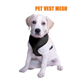 Air Mesh Dog Harness - All Weather Mesh Vest Harness for Small and Medium Dogs - Pet Dog Cat Puppy Soft Leash Vest Mesh Breathe Adjustable Harness Braces Clothes (Purple) (M)