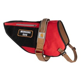 Carhartt - Arnés de Nailon Ripstop para Perro, Duradero y cómodo Repelente al Agua, XL