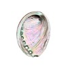 BRBASAP Large Abalone Shell Bowl 4-4.5 Inch Natural Smudge Bowl
