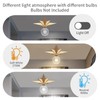 2 Pack Flush Mount Ceiling Light - Star Lights Fixture