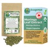 NEW Ecogenya Organic Moringa Leaf Extract Vegan Capsules | High