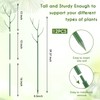 Cinnvoice 12 Pack 39.37" Stackable Plant Support Stakes Plant Support