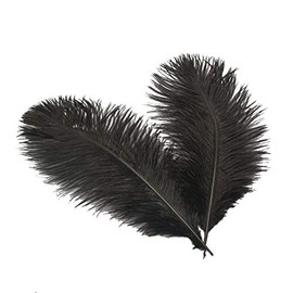 Sowder 14-16inch(35-40cm) Ostrich Feathers Plume for Wedding Centerpieces Home Decoration Pack of 10pcs(Black)