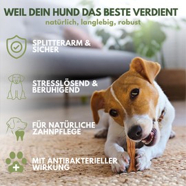 Empefly Premium Olivenholz Kauspielzeug (M) 100% natürliches, splitterfreies Kauholz,Robustes Hundespielzeug für mittlere Hunde zur Zahnpflege & langanhaltenden Beschäftigung