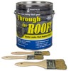 Through The Roof Sealant Clear Gallon Kit, Pack of 1