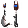 Fish Weight Scale | Small Fishing Scale,Portable Digital Fishing Scale