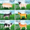 6pcs/set Simulation Farm Animal Toys Realistic Plastic Animal Figurines Farm