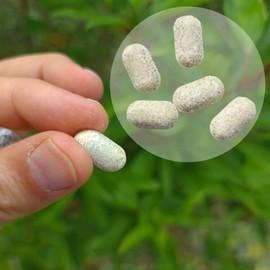 Melissen Basentabletten, 250 St