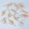 Lqucwepp 36PCS Dinosaur Fossil Skeleton,Figures Dino Bones for Dino Sand