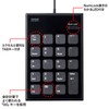 Sanwa Supply NT-23UBK Quiet USB Numeric Keypad