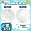 12 Pcs 4-5 Inch Large Scallop Seashells,Natural White Shells for