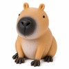 3 Pcs Capybara Squishy Toy for Squeezing & Fidgeting –
