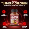 7 in 1 Turmeric Curcumin + Apple Cider Vinegar Capsules,