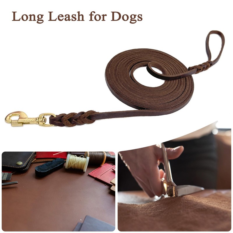 Guiding Star Long Leash for Dogs Outside Long Line Dog