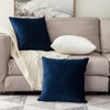 MIULEE Decorative Velvet Cushion Covers – Set of 2 Throw