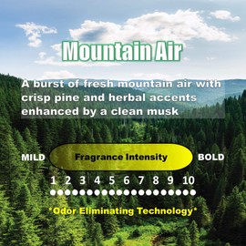 UltraScent Car Vent Clips Air Freshener Stealth Stix Car Vent Clips that Slip on Vent Blade, 4-Pack/16-Stix (Mountain Air)