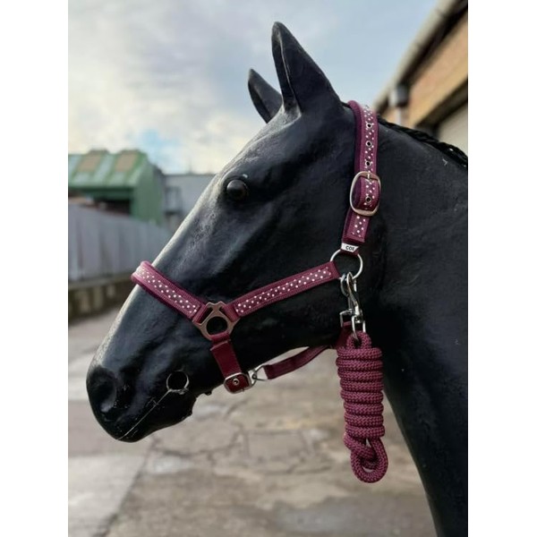 Horse Headcollar and Lead Rope Set, Burgundy with Polka Dots,