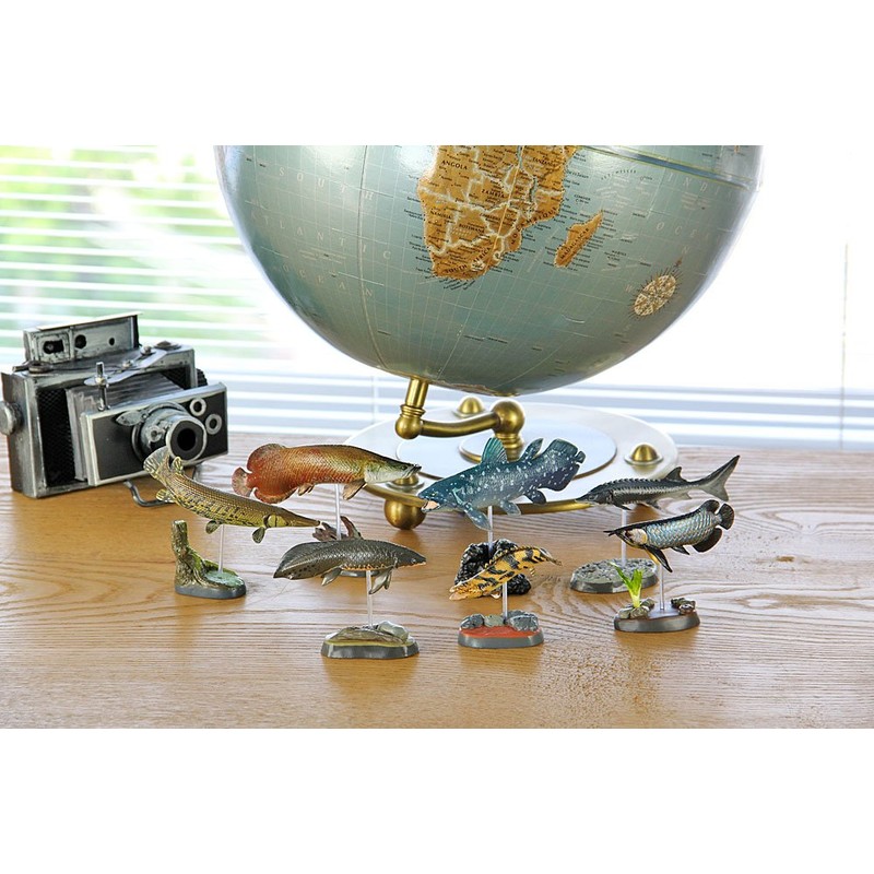 Carolata 3D Picture Book, Realistic Figure Box (Ancient Fish, 7