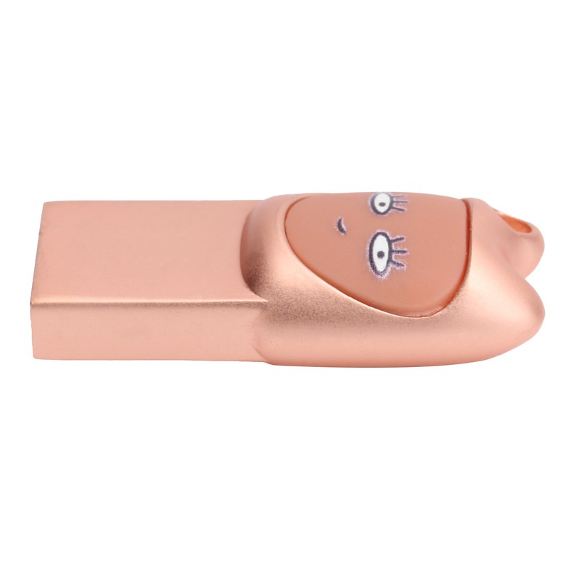 Flash Disk USB2.0 Interface Plugin Free Drive Cartoon U Disk