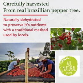 All Goods 4oz Pink Peppercorns, Brazilian Pepper Tree, Grinder Refill - Whole Pink Pepper Bulk, Fresh Peppers. Pimienta Roja.