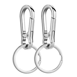 Wikavanli Metal Keychains Keyring Key Chain Ring Clip Holder Organizer for Home Car Keys Key Finder Women Men (2, Silver)