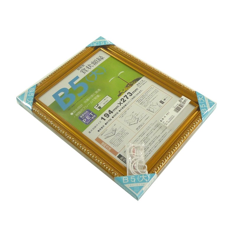 Daisen J045B1600 R B5 Large Resin Shrink Pack Picture Frame