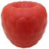 Hutzler Raspberries To-Go Snack Container Bento Box