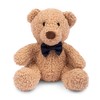 Harry Barker Teddy Plush Toy