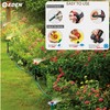 Eden 97065 Daisy Above-Ground 50 Ft Garden Hose and Sprinkler