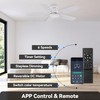 SUNMORY 42" Ceiling Fans with Lights and Remote/APP Control, Low
