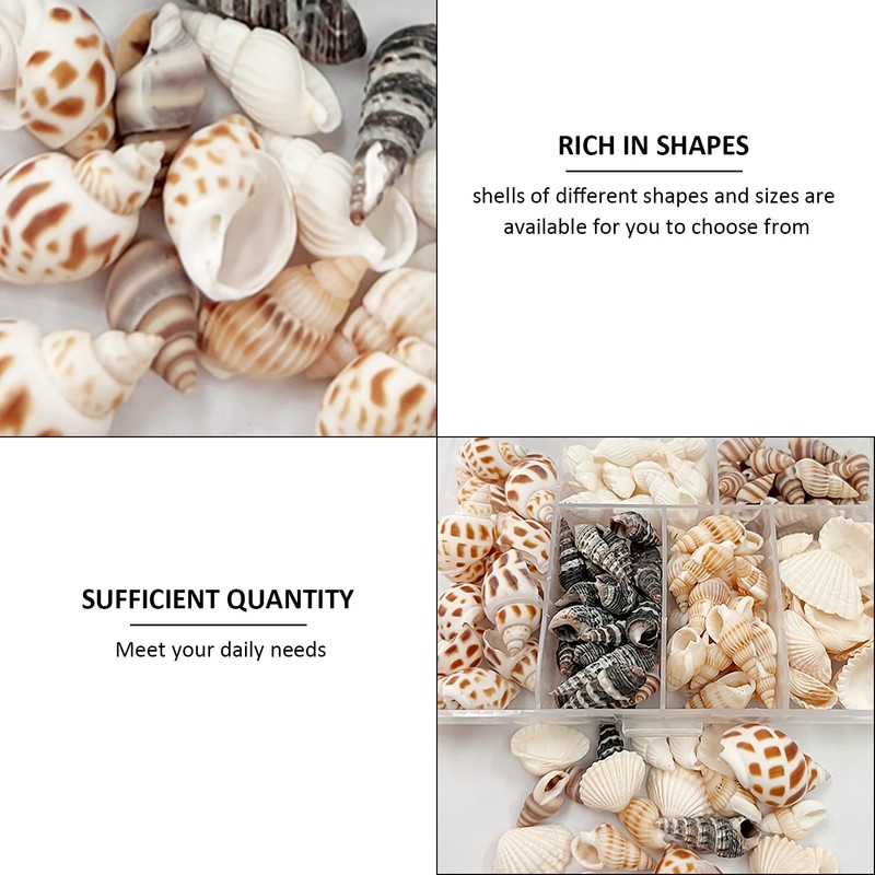 KVBUCC 105 Seashell Decorations, Spiral Shells, Starfish Decorations, Fish Tank