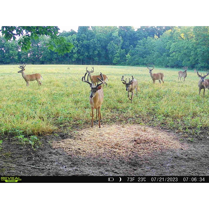 Power Munch | Deer Feed Supplement With Probiotics for Maximum