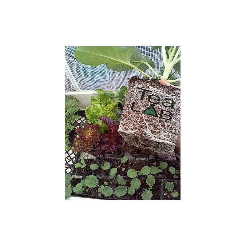 TeaLAB FiveTwo - Humic Acid & Kelp Powder - 1
