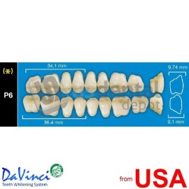 DAVINCI P6 Upper Posteriors A1 (1 X 6)  Davinci 4 layers Denture Acrylic  112825