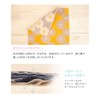 Individually Wrapped, Imabari Towel Handkerchief 10-Piece Set, 3-Ply Gauze, Bulk