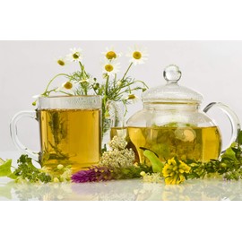 Earthcare Seeds Chamomile German 5,000 Seeds (Matricaria chamomilla) Heirloom - Non GMO - Annual