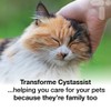 Cystassist, Feline Urinary Tract Supplement, Support for Cats of All