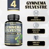 Satoomi Pure Gymnema Sylvestre Capsules Extract - 180 Capsules of