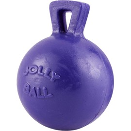 Jolly Pets Tug-N-Toss Ball Color: Purple, Size: 6" H x 4.5" W x 4.5" D